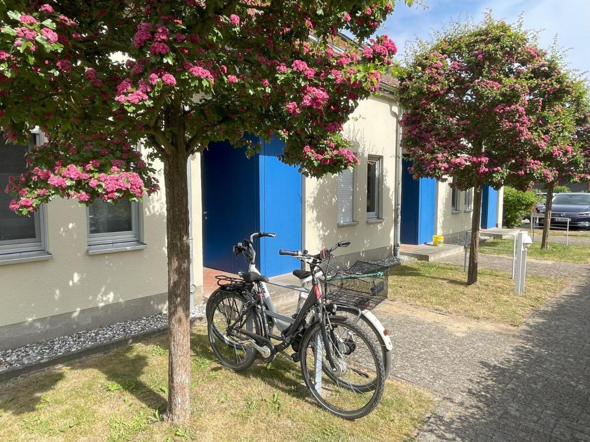Ferienwohnung Achterwasser Mit Terrasse Dewichow ภายนอก รูปภาพ