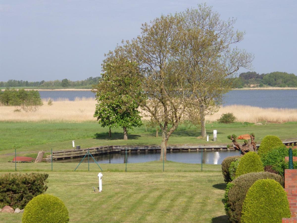 Ferienwohnung Achterwasser Mit Terrasse Dewichow ภายนอก รูปภาพ